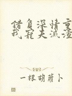 错负深情重生后我宠夫灭渣小说