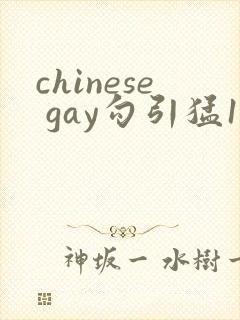 chinese gay勾引猛1videos封面