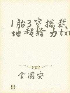 1胎3宝总裁爹地超给力txt