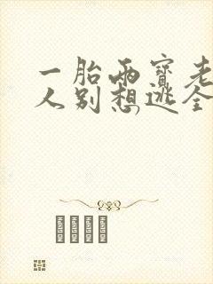 一胎两宝老婆大人别想逃全文免费阅读封面