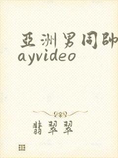 亚洲男同帅哥gayvideo