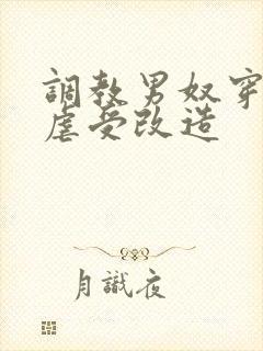 调教男奴穿\环虐受改造封面