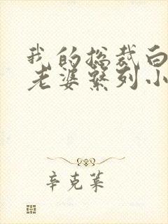 我的总裁白富美老婆系列小说