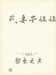 我妻子姐姐3