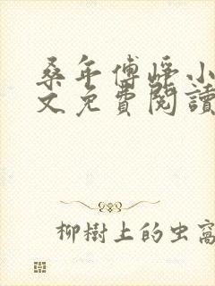 桑年傅峥小说全文免费阅读