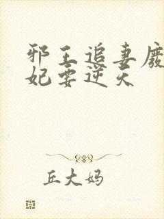 邪王追妻废材狂妃要逆天
