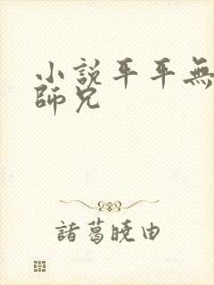 小说平平无奇大师兄