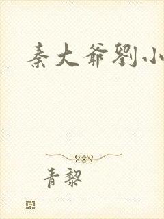 秦大爷刘小静