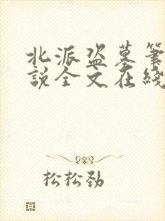 北派盗墓笔记小说全文在线阅读