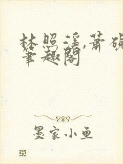 林照溪,萧砚川笔趣阁
