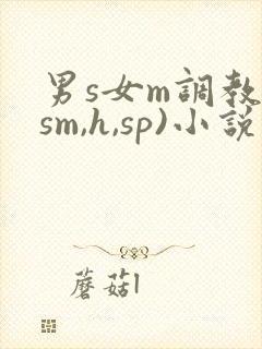 男s女m调教(sm,h,sp)小说