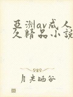 亚洲av成人久久精品小说