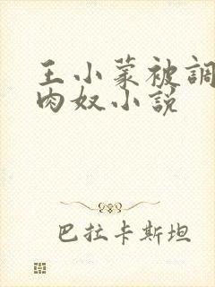 王小蒙被调教成肉奴小说