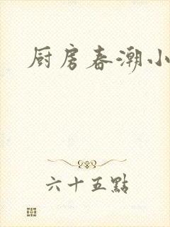厨房春潮小说