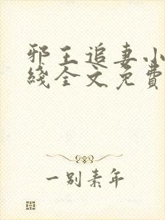 邪王追妻小说在线全文免费阅读