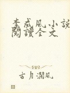 李成风小说在线阅读全文