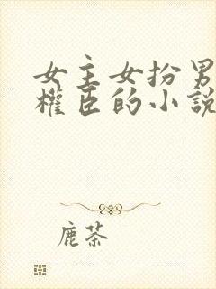 女主女扮男装成权臣的小说