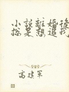 小说离婚后前夫总是想追我免费看