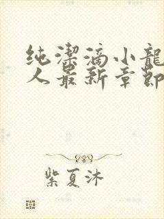 纯洁滴小龙捞尸人最新章节更新