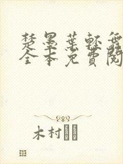 楚墨叶轻舞小说全本免费阅读最新章