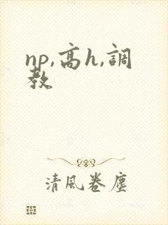 np,高h,调教