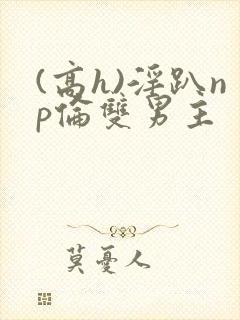 (高h)淫趴np伦双男主