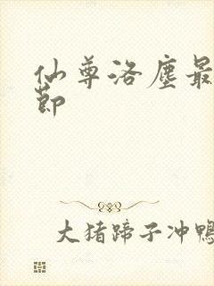 仙尊洛尘最新章节封面