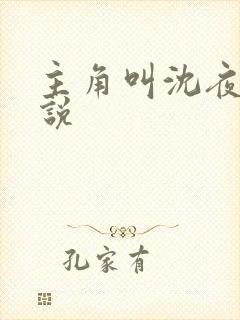 主角叫沈夜的小说