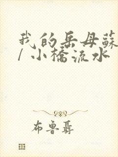 我的岳母苏沛真/ 小桥流水