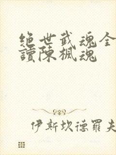 绝世武魂全文阅读陈枫魂