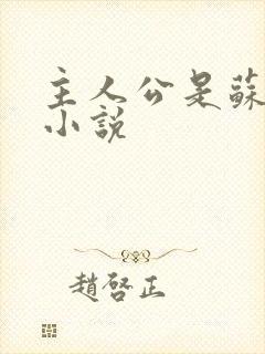 主人公是苏扬的小说
