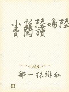 小说陆鸣陆瑶免费阅读