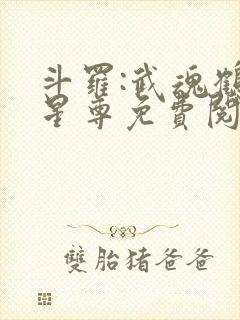 斗罗:武魂鹤羽星尊免费阅读