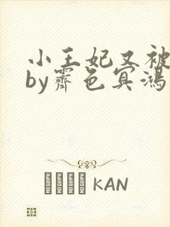 小王妃又被揍啦by霁色冥鸿