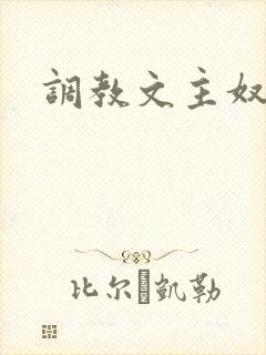 调教文主奴