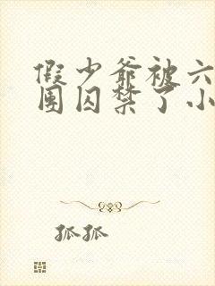 假少爷被六个哥团囚禁了小说