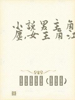 小说男主角沈卿尘,女主角江稚免费阅读