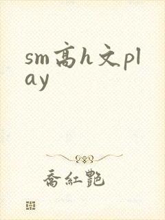 sm高h文play