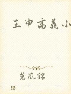 王申高义小说