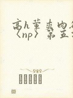 高h荤爽肉欲文〈np〉第五次