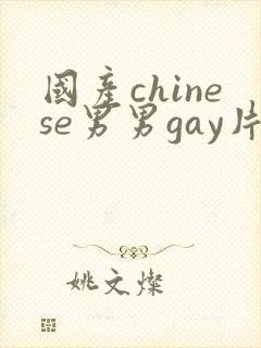 国产chinese男男gay片网站