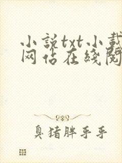 小说txt小载网站在线阅读