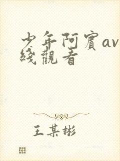 少年阿宾av在线观看