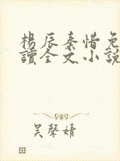 杨辰秦惜免费阅读全文小说