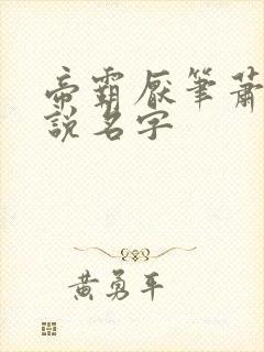 帝霸厌笔萧生小说名字