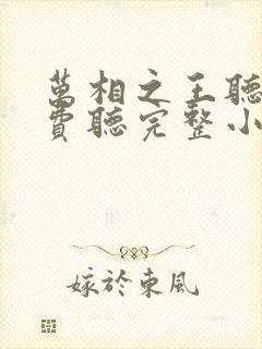 万相之王听书免费听完整小说