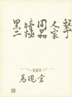 黑暗同人系列之二极品家丁