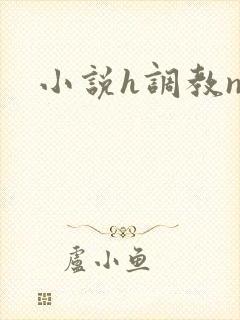 小说h调教np
