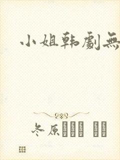 小姐韩剧无删减