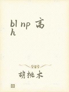bl np 高h封面